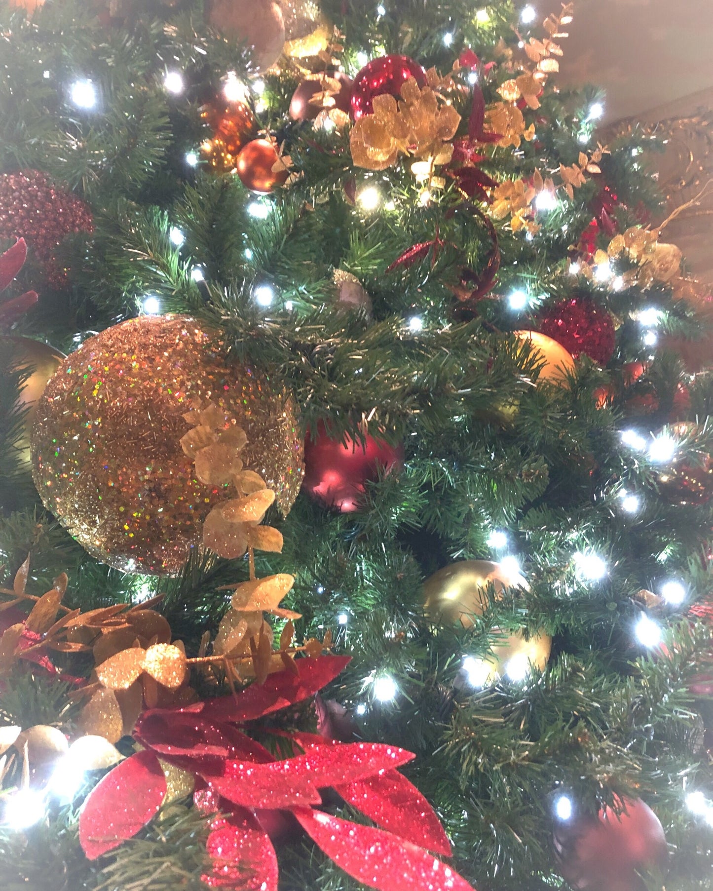 Decorated Christmas tree with lights, ornaments, and red and gold decorations.