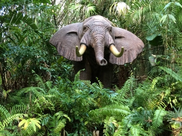 Disney Elephant 1