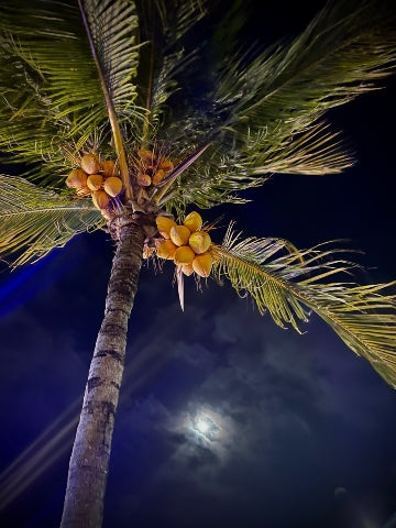Key West 2