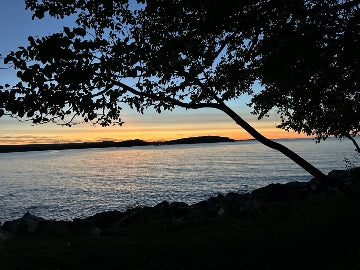 MI Sunset 11