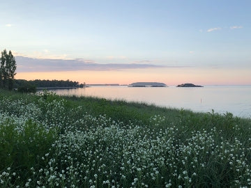 MI Sunset 7