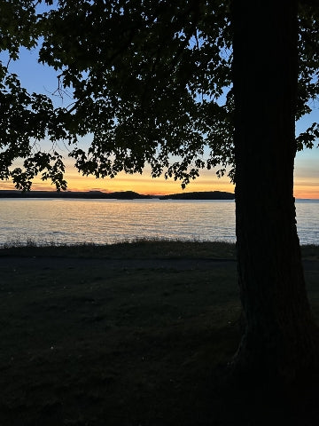 MI Sunset 9