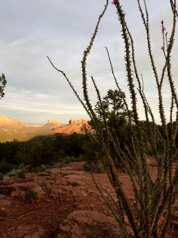 Sedona, AZ 2