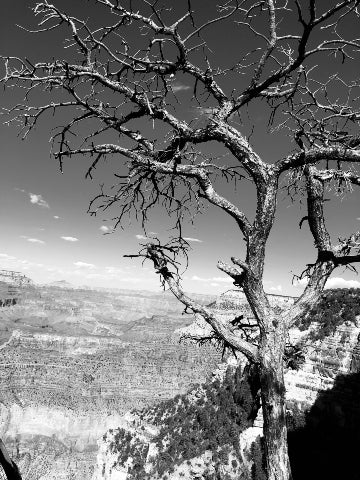 Sedona, AZ 4