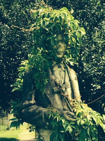 Vine Man
